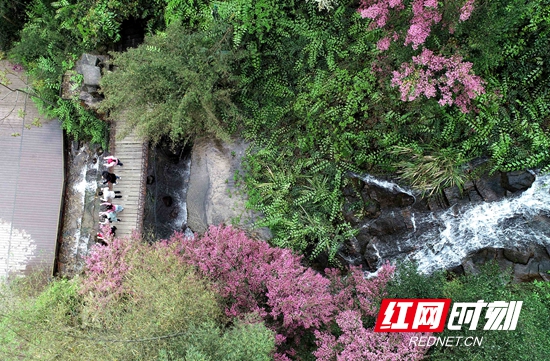 张家界宝峰湖景区：年卡优惠引客来