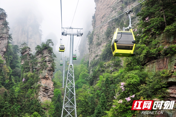 张家界旅游攻略自由行三天 - 张家界武陵源：杨家界索道4月10日将恢复运行