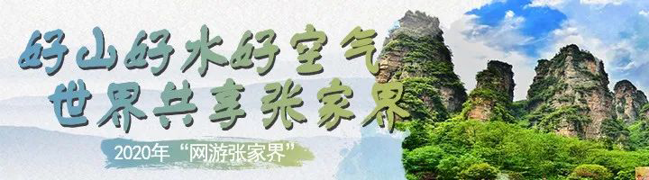 张家界旅游旺季 - 【每日一景】“网游张家界”〡听，最接近天空的梵音