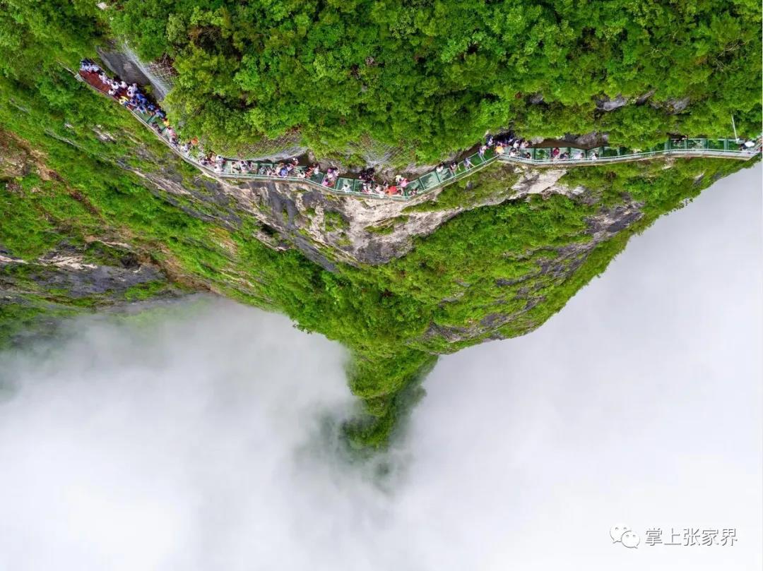 张家界自由行 - 【每日一景】“网游张家界”｜天门山顶的“东方天空之路”，够胆来挑战！