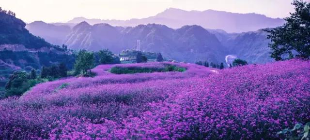 【每日一景】“网游张家界”｜6月，一定要打卡包公山，看了你就知道！