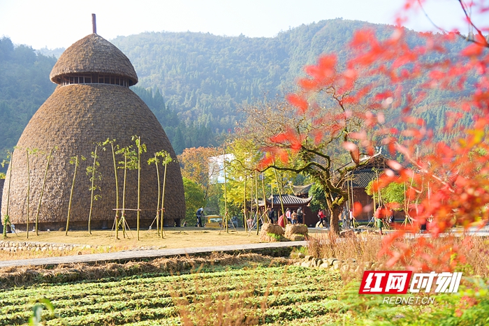 张家界黄龙洞景区：初冬秋色艳，游客乐享休闲时光（组图）