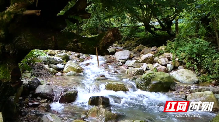 张家界旅游报价 - 一处尘封千年的打卡地——《歌起牧笛溪》带您走玩美丽乡村