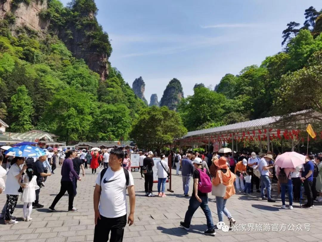 张家界旅游攻略 - 张家界市5月2日旅游接待情况