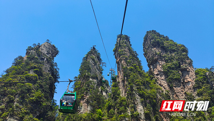 湖南张家界旅游景点 - 张家界市“五一”假期接待游客154.1万人次，多个景区日接待量创新高