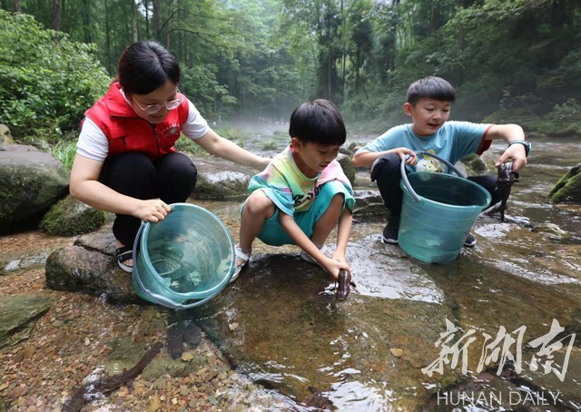 张家界旅游攻略 - 武陵源开展大鲵认领放养科普宣传活动