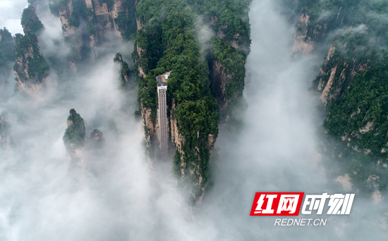 张家界四日游 - 飞阅峰林之美 “航拍武陵源”已为旅游宣传新名片