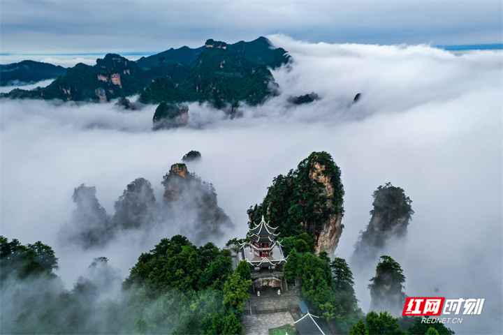 张家界四日游 - 新鲜出炉，张家界黄石寨今日份云海及时送达！