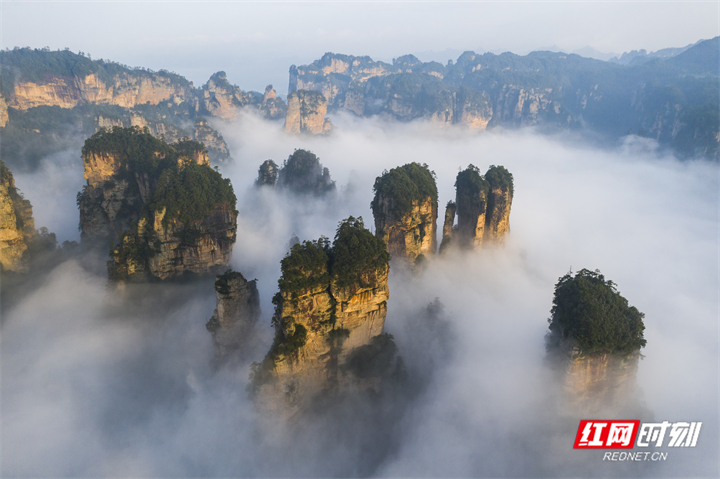 湖南张家界旅游景点 - 绝美！航拍张家界袁家界的云海