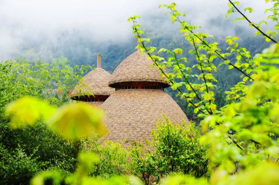 黄龙洞：春雨染绿满园芳（组图）