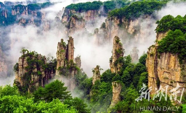 张家界旅游攻略 - 【关注】十年，仙境张家界使了哪些招数，“峰”迷全世界？