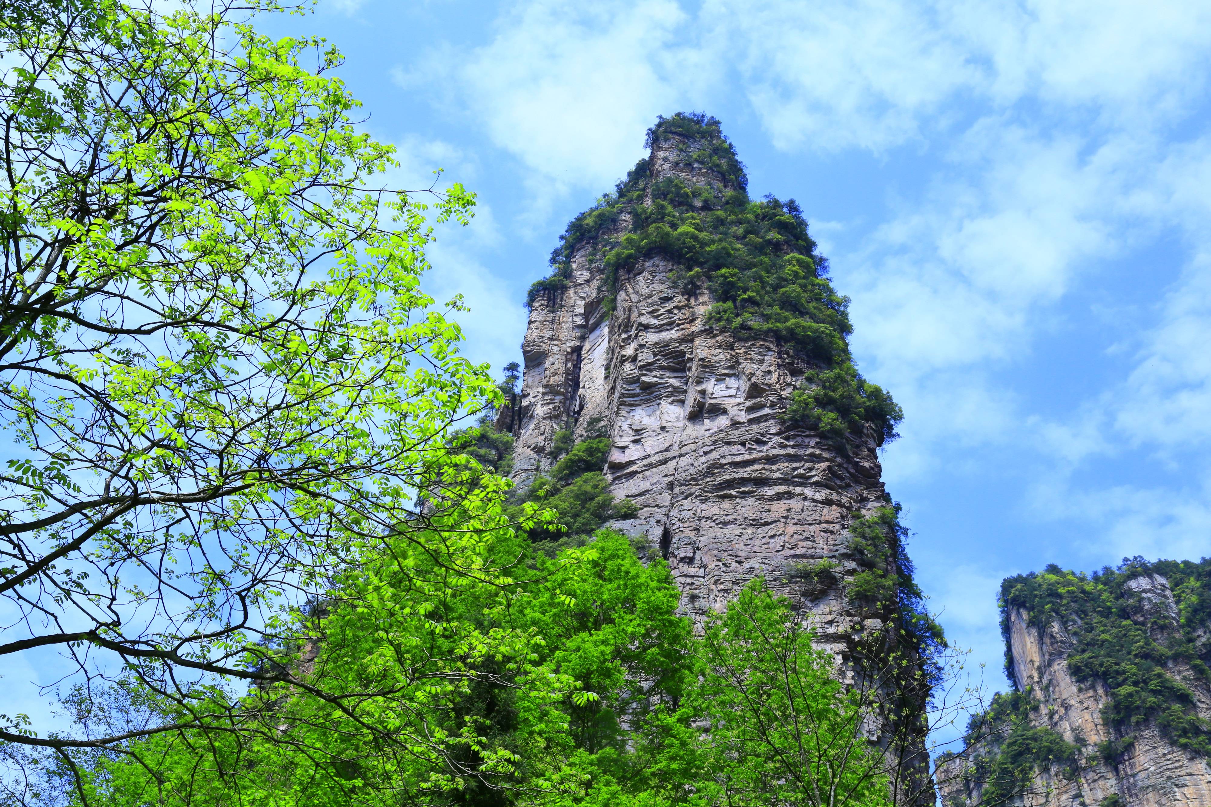 张家界组团旅游攻略 - 张家界旅游该怎么玩？究竟是跟团还是自助游好？张家界旅游攻略