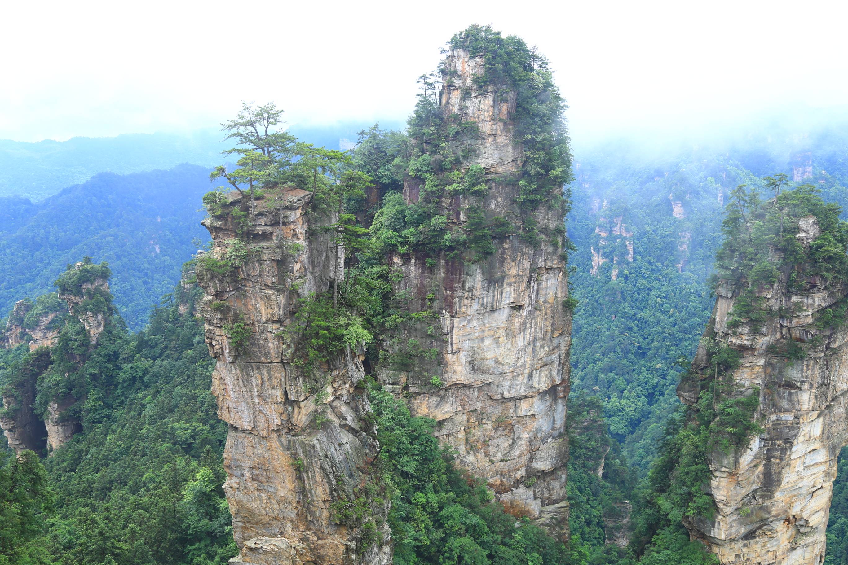 张家界旅游报价 - 张家界自由行攻略，自由行怎么玩，有必要请导游吗？如何找到靠谱导游