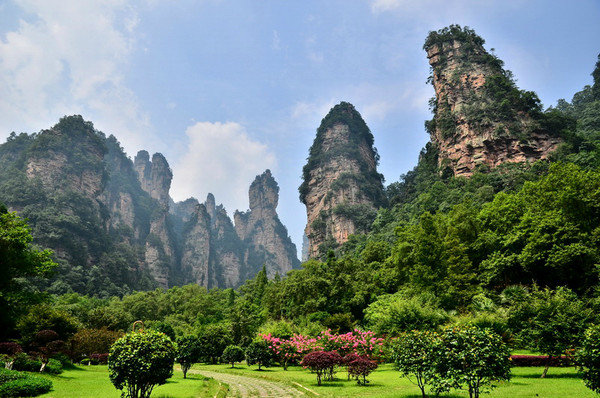 湖南张家界旅游景点 - 张家界国家森林公园门票，线路解答